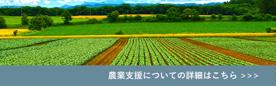 株式会社大による農業支援