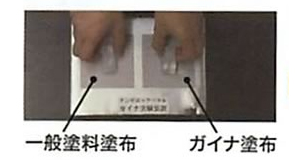 ガイナ塗布実験２
