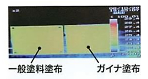 ガイナ適応実験１