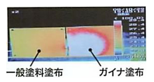 ガイナ適応実験２