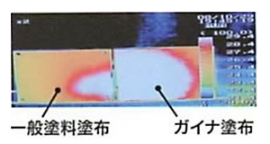 ガイナ適応実験３