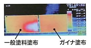 ガイナ適応実験４